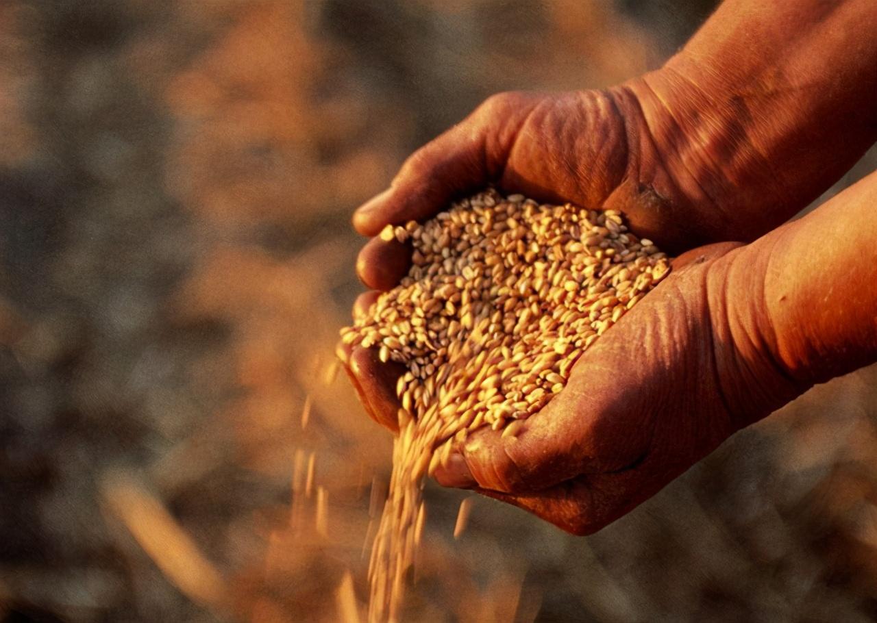 外企掌握中国食用油70%批发权，谁是中国食用油沦陷的幕后黑手？-国内食用油市场