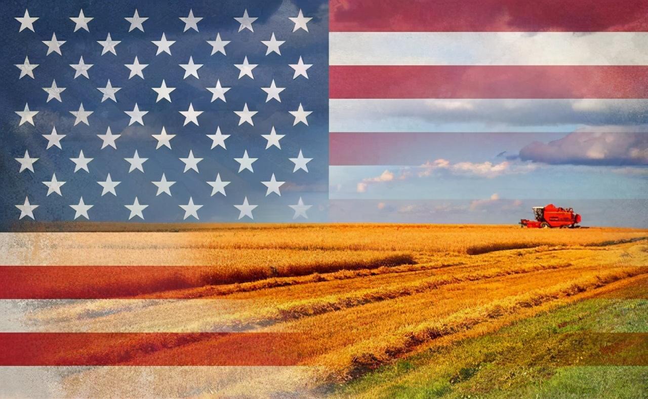 外企掌握中国食用油70%批发权，谁是中国食用油沦陷的幕后黑手？-国内食用油市场