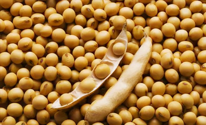 中国200亿食用油市场被外资掌控，谁制造了中国食用油的沦陷-中国2008年奥运会