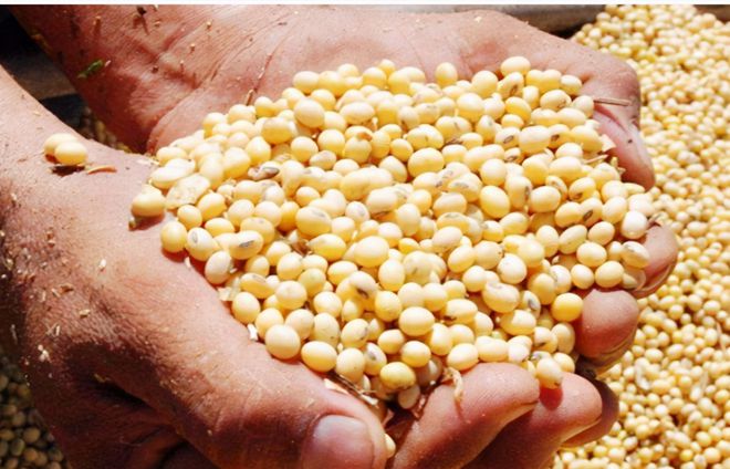 中国200亿食用油市场被外资掌控，谁制造了中国食用油的沦陷-中国2008年奥运会