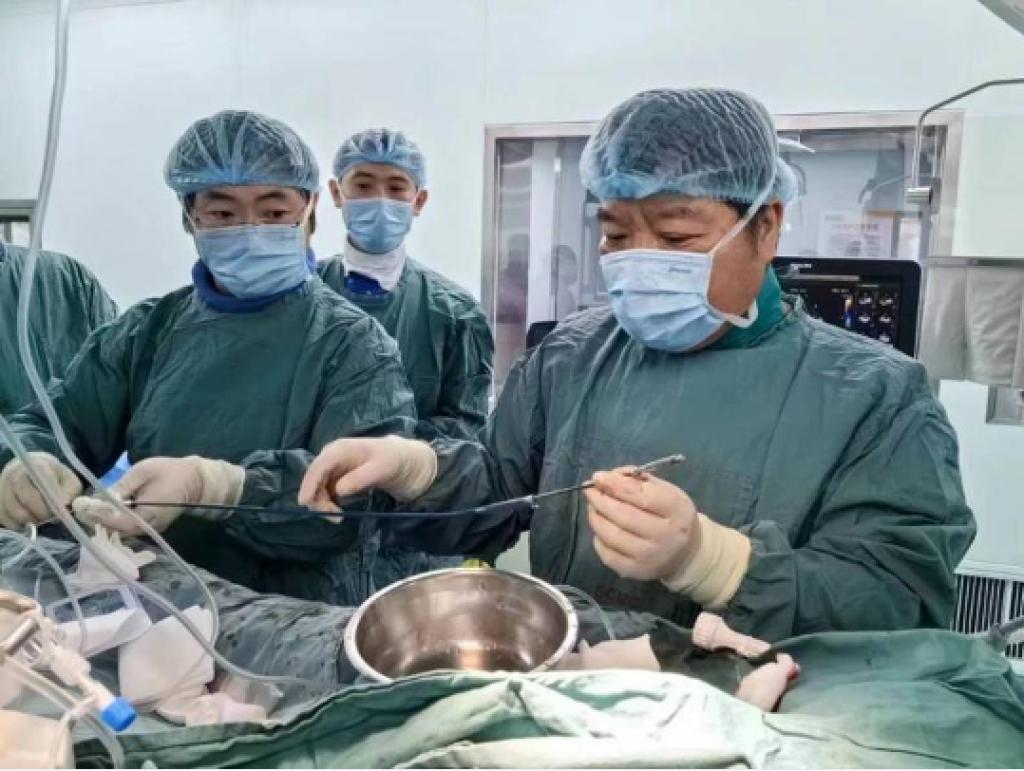 中华骨髓库实现18000例造血干细胞捐献-中华骨髓库捐献流程图高清