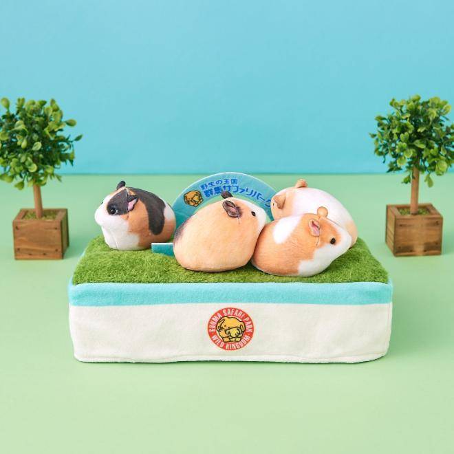 早报| 宝马中国回应退出价格战传闻：将关注业务质量/苹果将开放欧盟设备第三方 NFC 权限/小米汽车获得独立造车资质-宝马中国作出回应