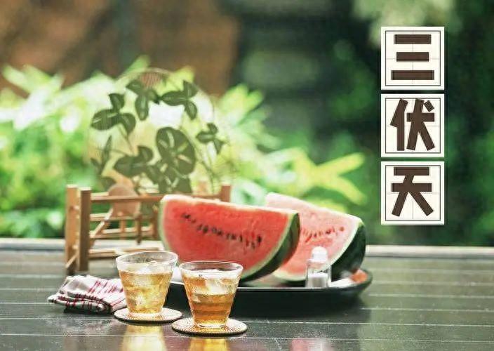 三伏天的茶之约：正确的喝茶指南！-饮茶怎么饮