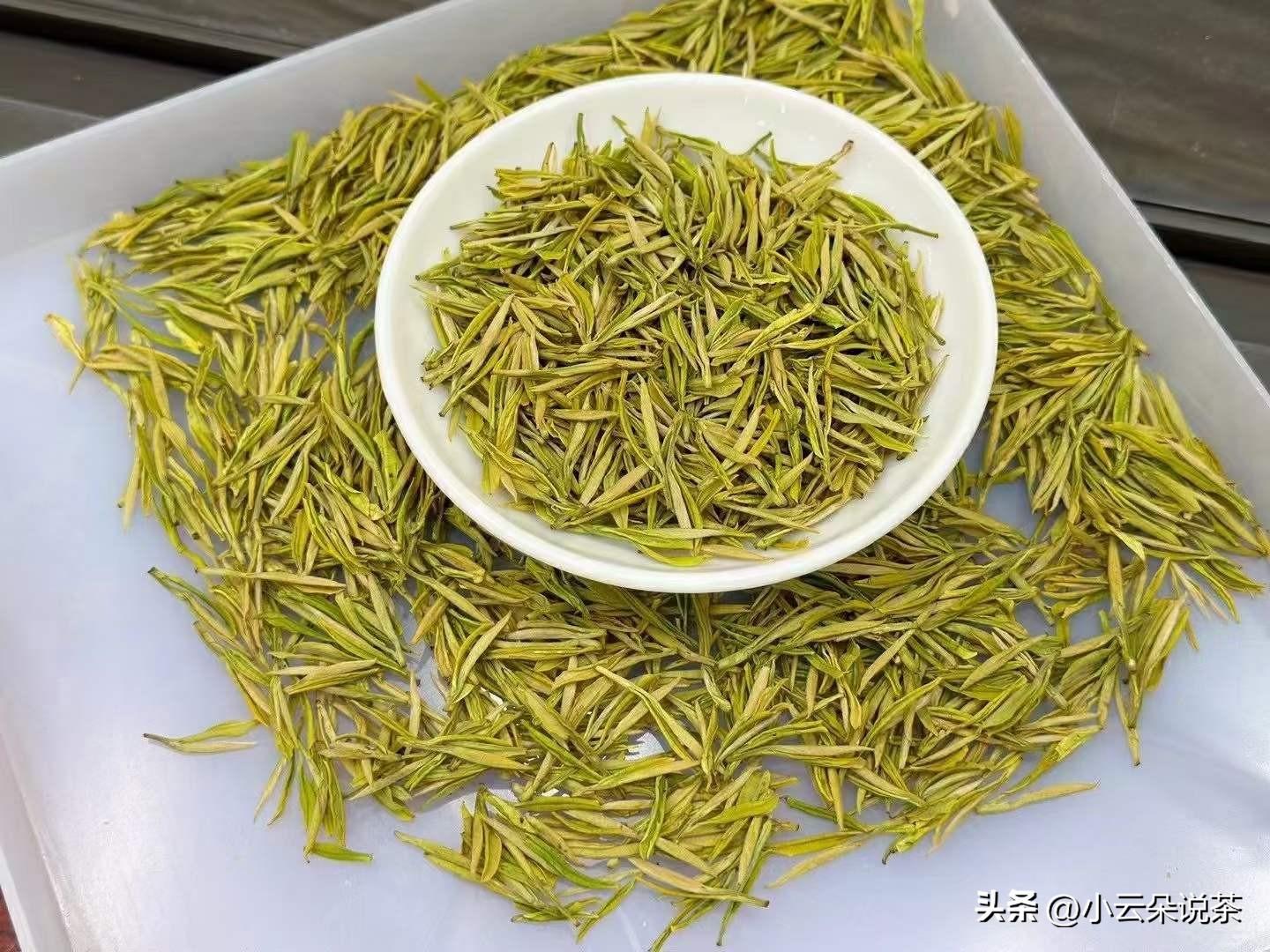 三伏天，饮什么茶更消暑？5款解暑祛湿茶饮，请收下！-什么茶解暑降温效果好