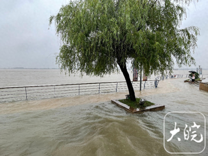 芜湖长江水位上涨 “一家三口”已“深陷孤岛”-芜湖长江水流方向
