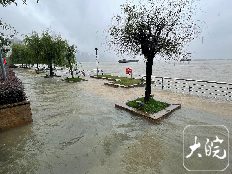 芜湖长江水位上涨 “一家三口”已“深陷孤岛”-芜湖长江水流方向