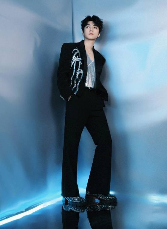 王俊凯现身蔡依林演唱会，牵手唱歌荷尔蒙爆棚，曝2点理想型标准-王俊凯和蔡依林是什么关系