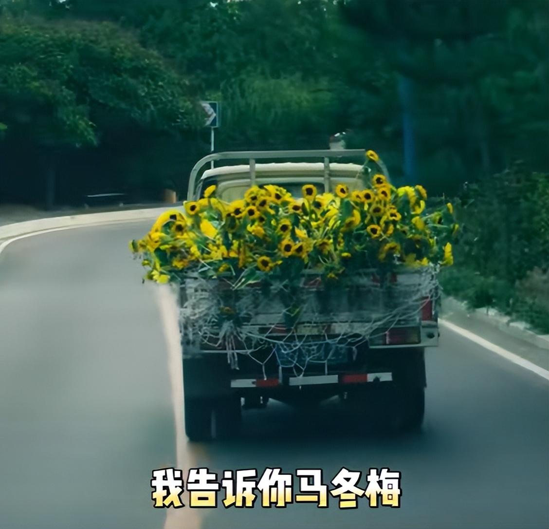 电影《抓娃娃》8个细节解读，原来是一个巨大的西虹市宇宙-抓娃娃动漫图