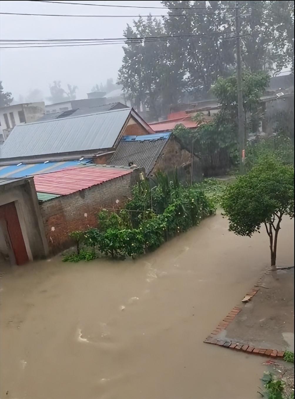 突发！南阳暴雨，沟平河满，花生全被淹玉米露头，前旱后涝太难了-河南花生的受灾情况