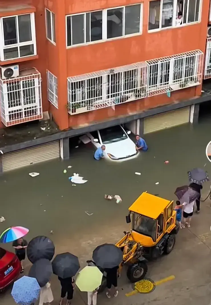 突发！南阳暴雨，沟平河满，花生全被淹玉米露头，前旱后涝太难了-河南花生的受灾情况