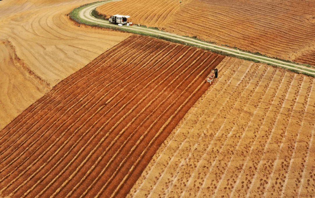 农业气候资源普查和区划试点， “画”出中国农业新可能！-我国农业气候资源特点