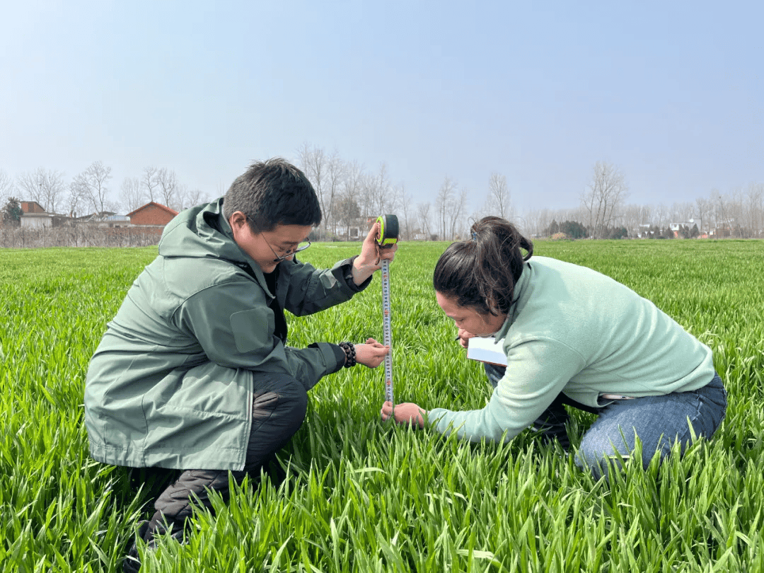 农业气候资源普查和区划试点， “画”出中国农业新可能！-我国农业气候资源特点