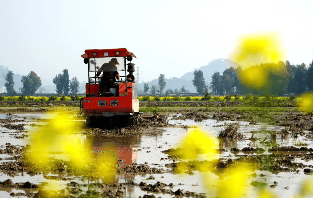 农业气候资源普查和区划试点， “画”出中国农业新可能！-我国农业气候资源特点