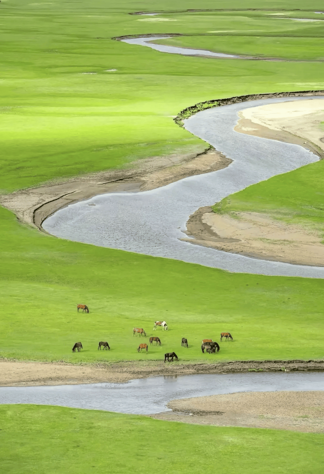 为何人们被内蒙古硬控60秒？-内蒙古7人被通报