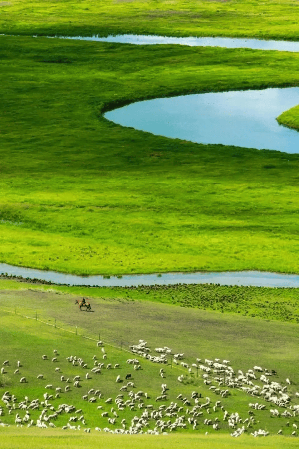 为何人们被内蒙古硬控60秒？-内蒙古7人被通报