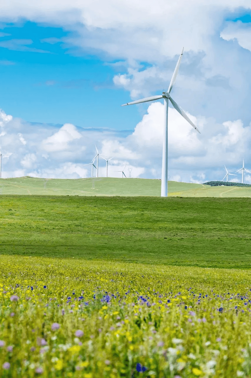 为何人们被内蒙古硬控60秒？-内蒙古7人被通报