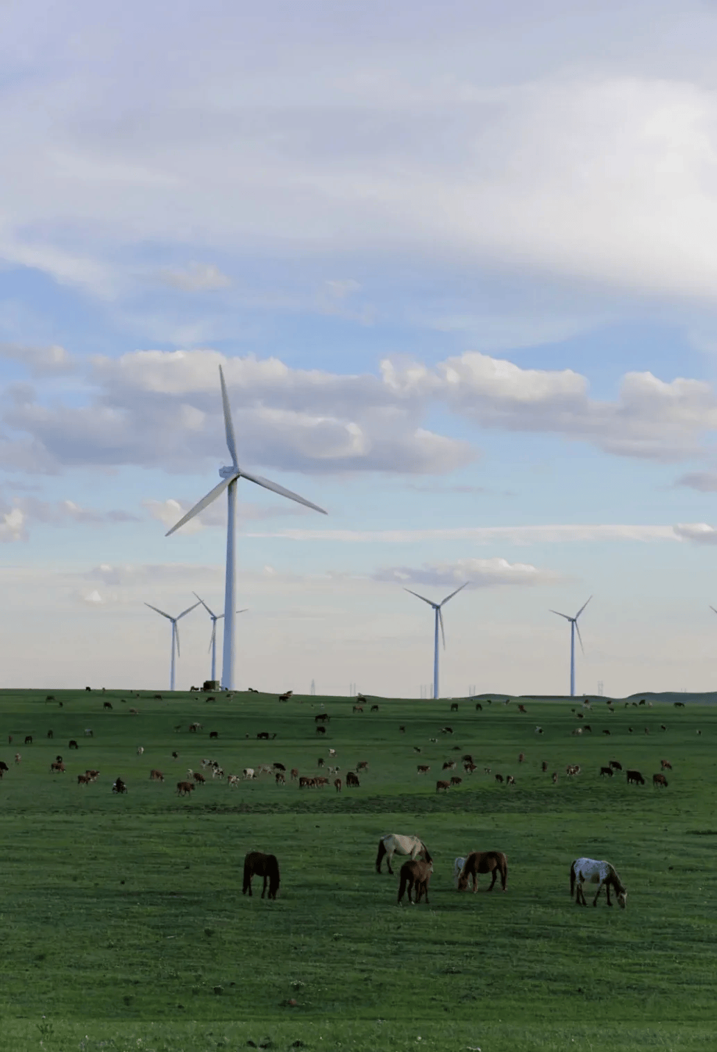 为何人们被内蒙古硬控60秒？-内蒙古7人被通报