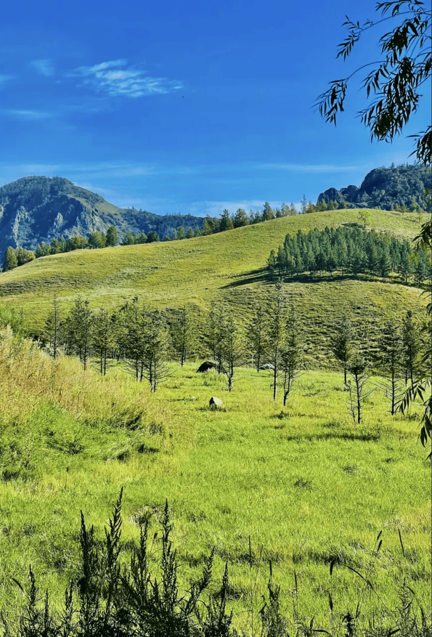 为何人们被内蒙古硬控60秒？-内蒙古7人被通报