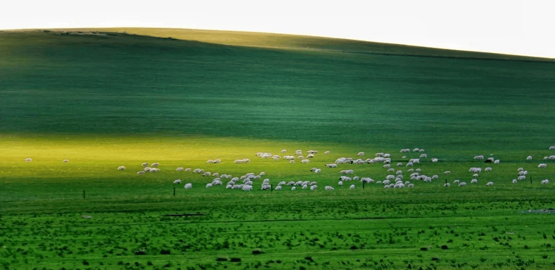 为何人们被内蒙古硬控60秒？-内蒙古7人被通报