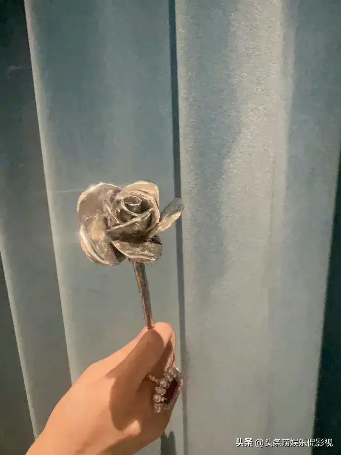 刘亦菲发文晒玫瑰周边照越素越美手持钢铁玫瑰好抢眼网友催更林一-刘亦菲惊艳造型图文