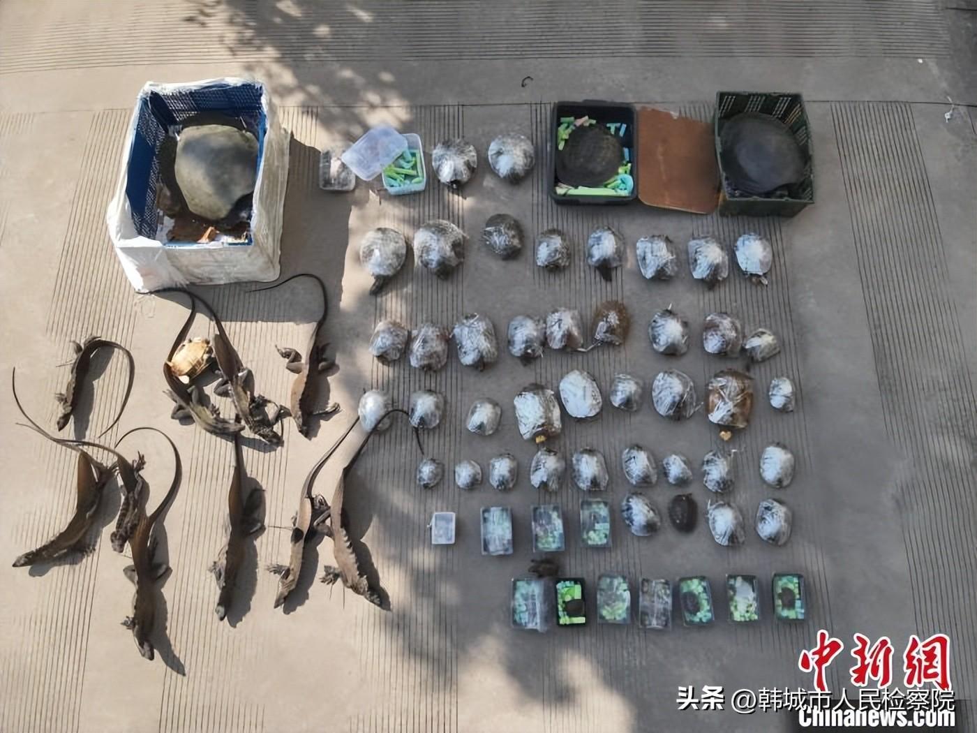 【法治热点早知道】“女子拒查票，飙英文辱骂乘务员”，通报来了-女乘客骂司机家人被打