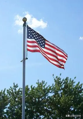 太戏谑！黄金价格突然暴跌！美联储戏耍全球？继续收割世界？-黄金价格走势图美元