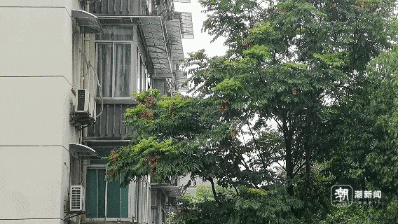 16级！“艾云尼”或成超强台风！浙江强降水、强雷电来袭-艾尼云购商城网站