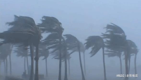 超强台风“杜苏芮”北移, 华北地区或迎强降雨-台风杜鹃胚胎最新消息2021
