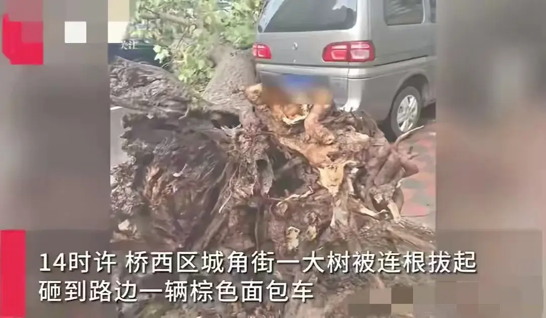 炸裂！石家庄狂风暴雨肆虐，城市瞬间变“战场”！这雨下得太猛了-石家庄暴雨持续多久
