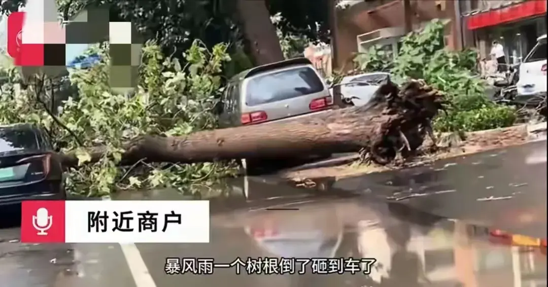 炸裂！石家庄狂风暴雨肆虐，城市瞬间变“战场”！这雨下得太猛了-石家庄暴雨持续多久