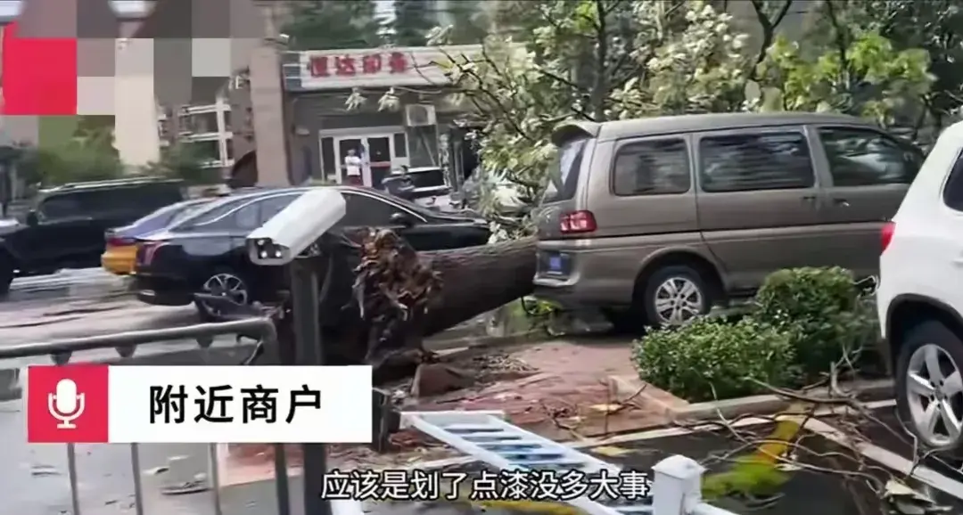 炸裂！石家庄狂风暴雨肆虐，城市瞬间变“战场”！这雨下得太猛了-石家庄暴雨持续多久