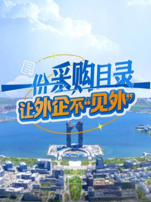 陶琳谈特斯拉入围地方政府采购清单：体现了中国市场的公正公平-特斯拉投资了多少钱