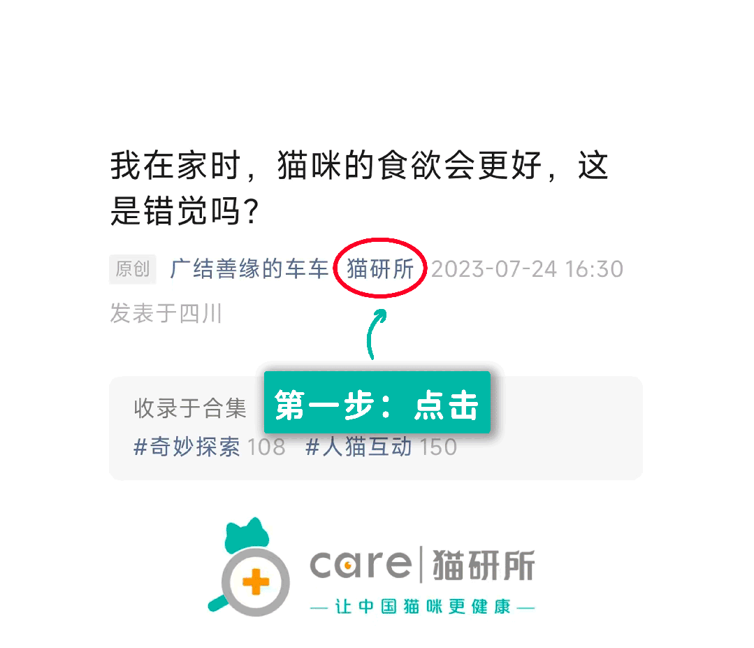 猫研所 ||猫咪在出糗时装作很忙，是为了缓解尴尬吗？-猫咪研究室