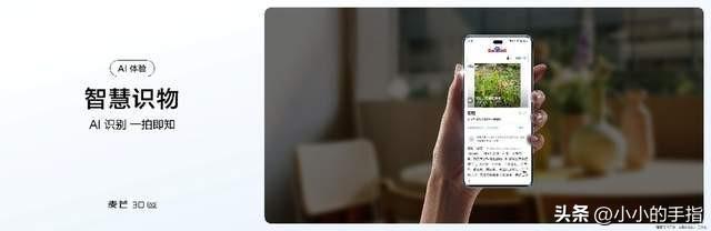 AI加持！麦芒30开启首销，千元档全能手机来了-麦芒手机质量好吗