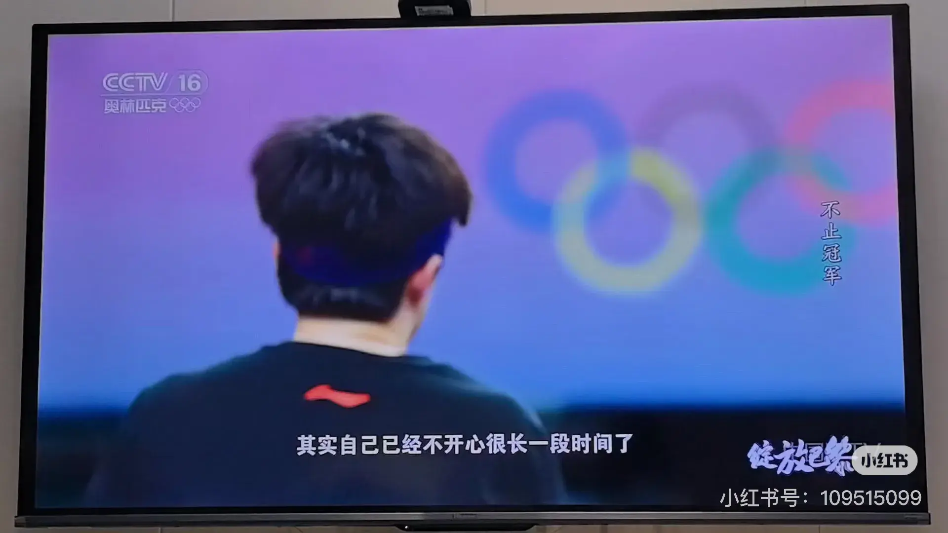 绽放巴黎：王楚钦自嘲 樊振东享受过程 龙队超越自我