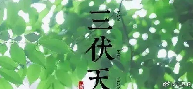 俗话说“入伏吃3宝，苦夏无烦恼”，入伏了，提醒中老年别忘吃这3宝！-入伏吃的应该注意什么