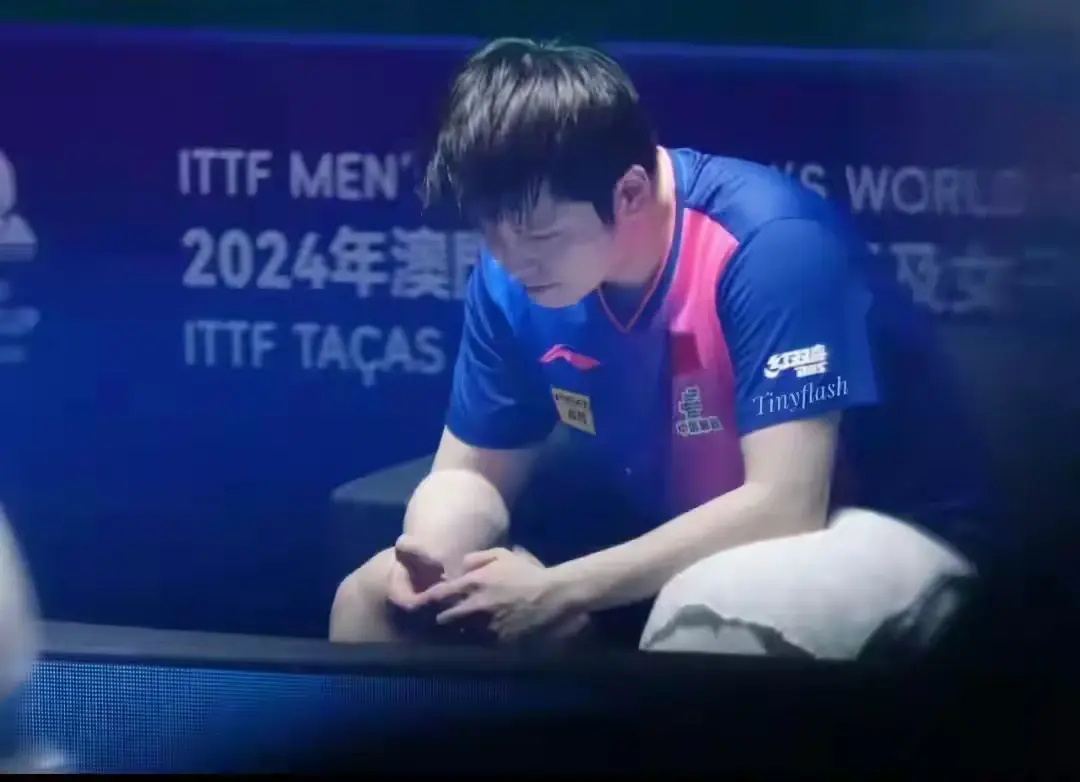 破防了！樊振东：饭圈文化对我伤害很大，输赢都不行，百害无一利-樊振东微博全部