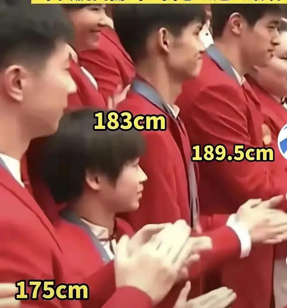 好可爱!全红婵表彰大会误入巨人国，看新闻后懵圈了我像个小矮人-全红婵遭外媒质疑
