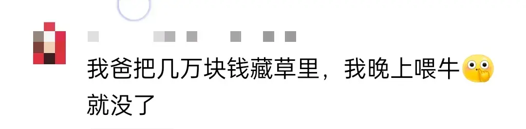 哭晕！老人把积蓄藏旧枕头里，被儿子扔掉致无法追回 网友有怀疑-把老人藏起来了怎么处理