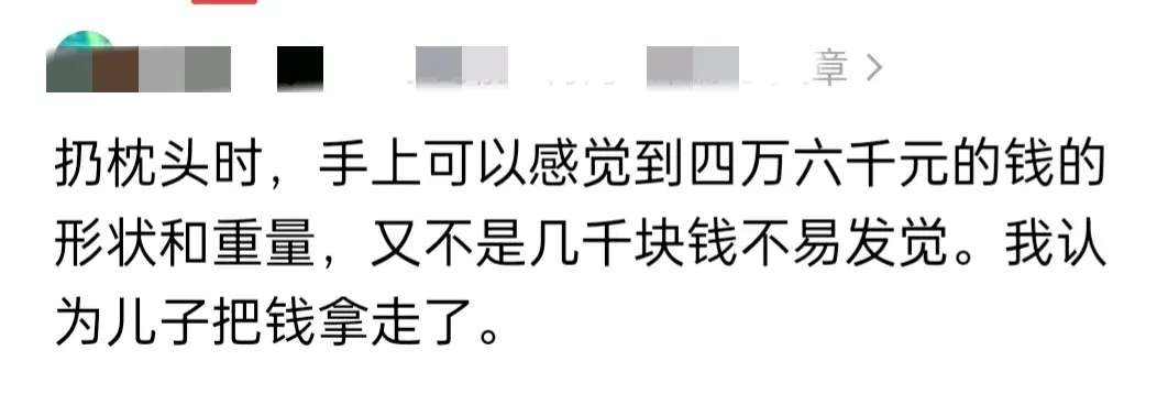 哭晕！老人把积蓄藏旧枕头里，被儿子扔掉致无法追回 网友有怀疑-把老人藏起来了怎么处理