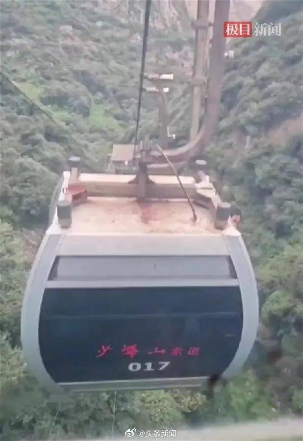 男子偷寺庙20余尊佛像回家供奉被拘，相信能以此改命丨冷兔小报 No.1051-偷佛像当场暴毙