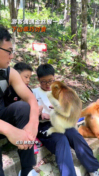 男子偷寺庙20余尊佛像回家供奉被拘，相信能以此改命丨冷兔小报 No.1051-偷佛像当场暴毙