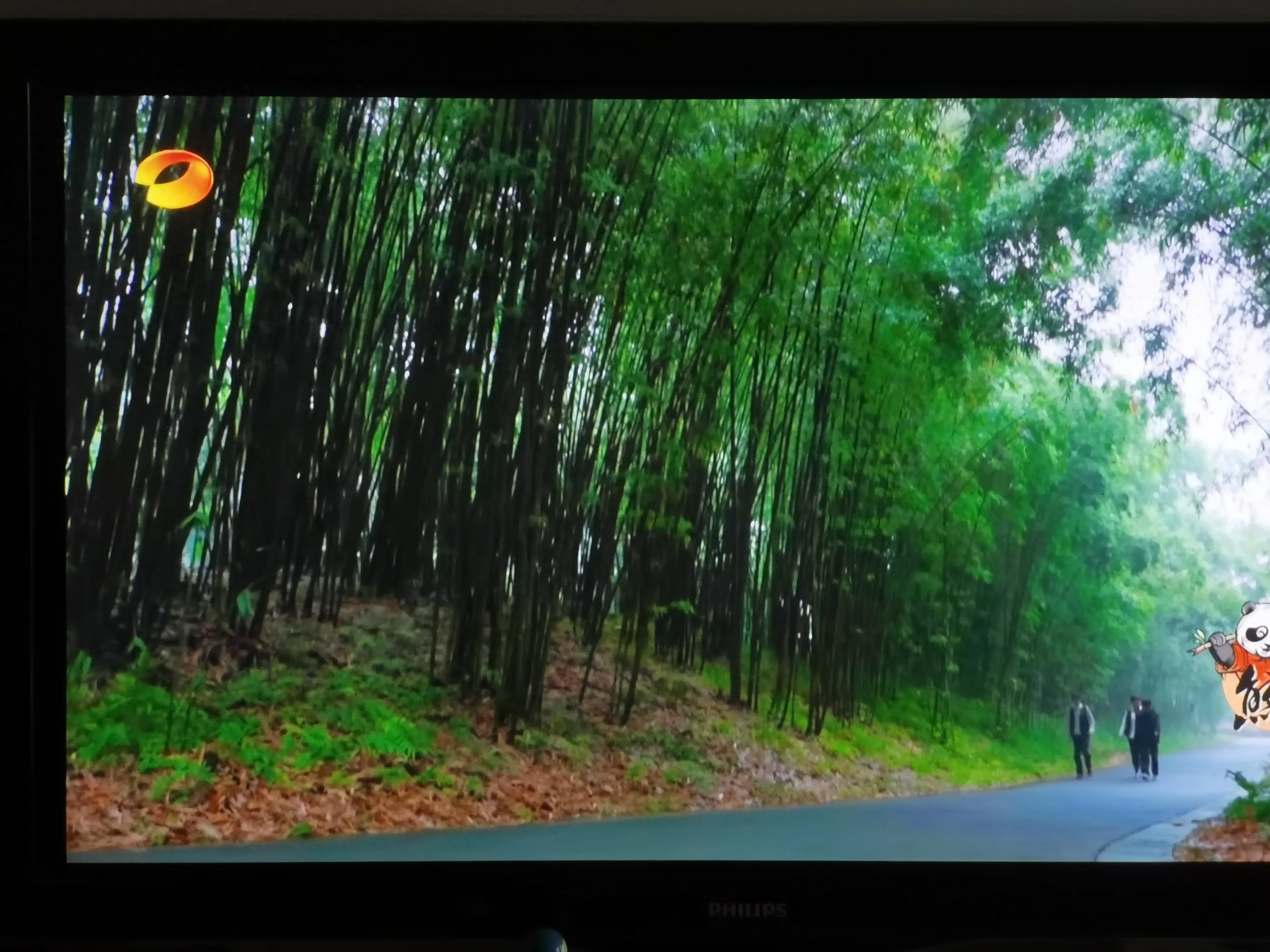 被爱着老去的国宝们-被爱着的人 真好啊