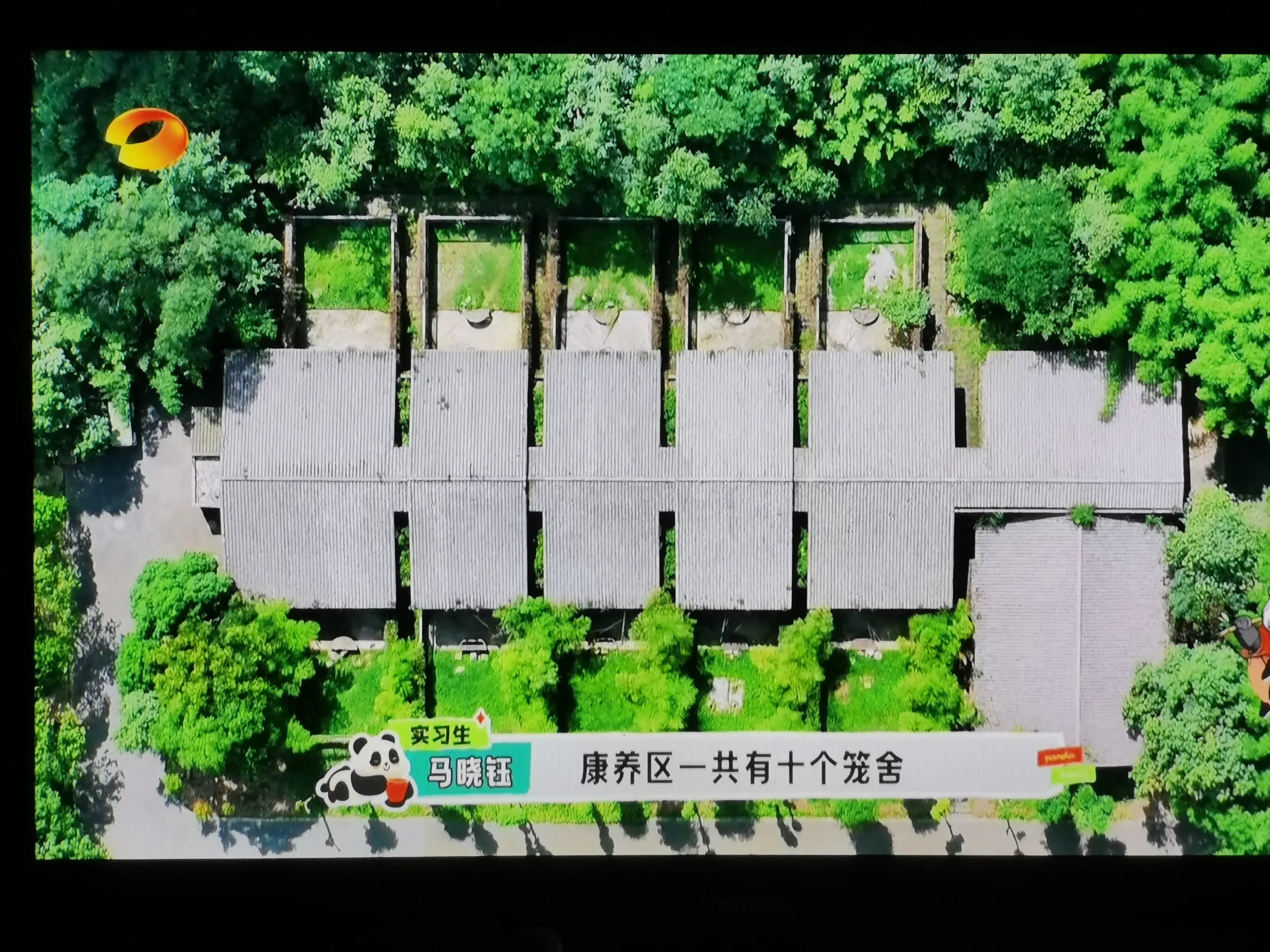 被爱着老去的国宝们-被爱着的人 真好啊