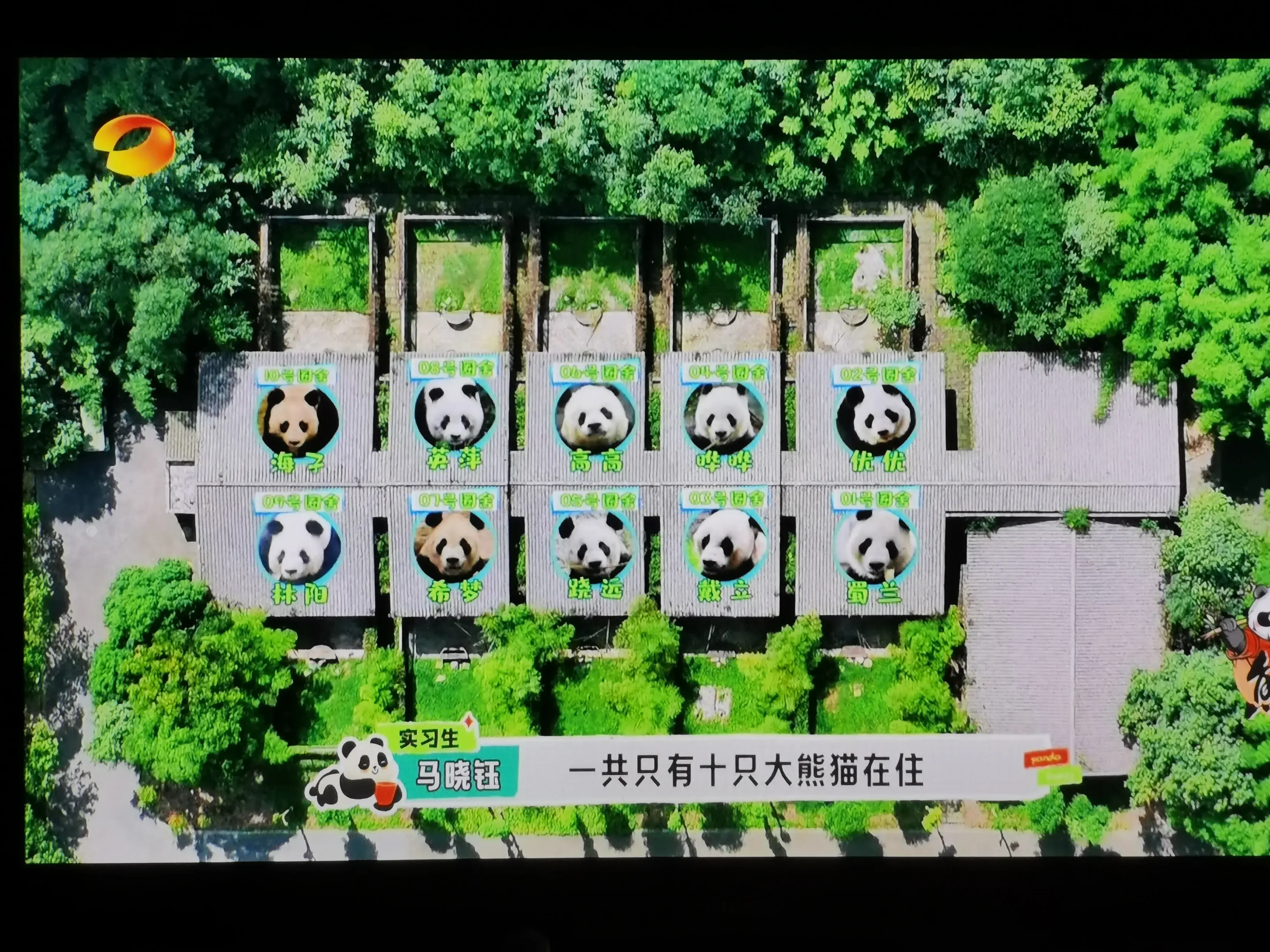 被爱着老去的国宝们-被爱着的人 真好啊