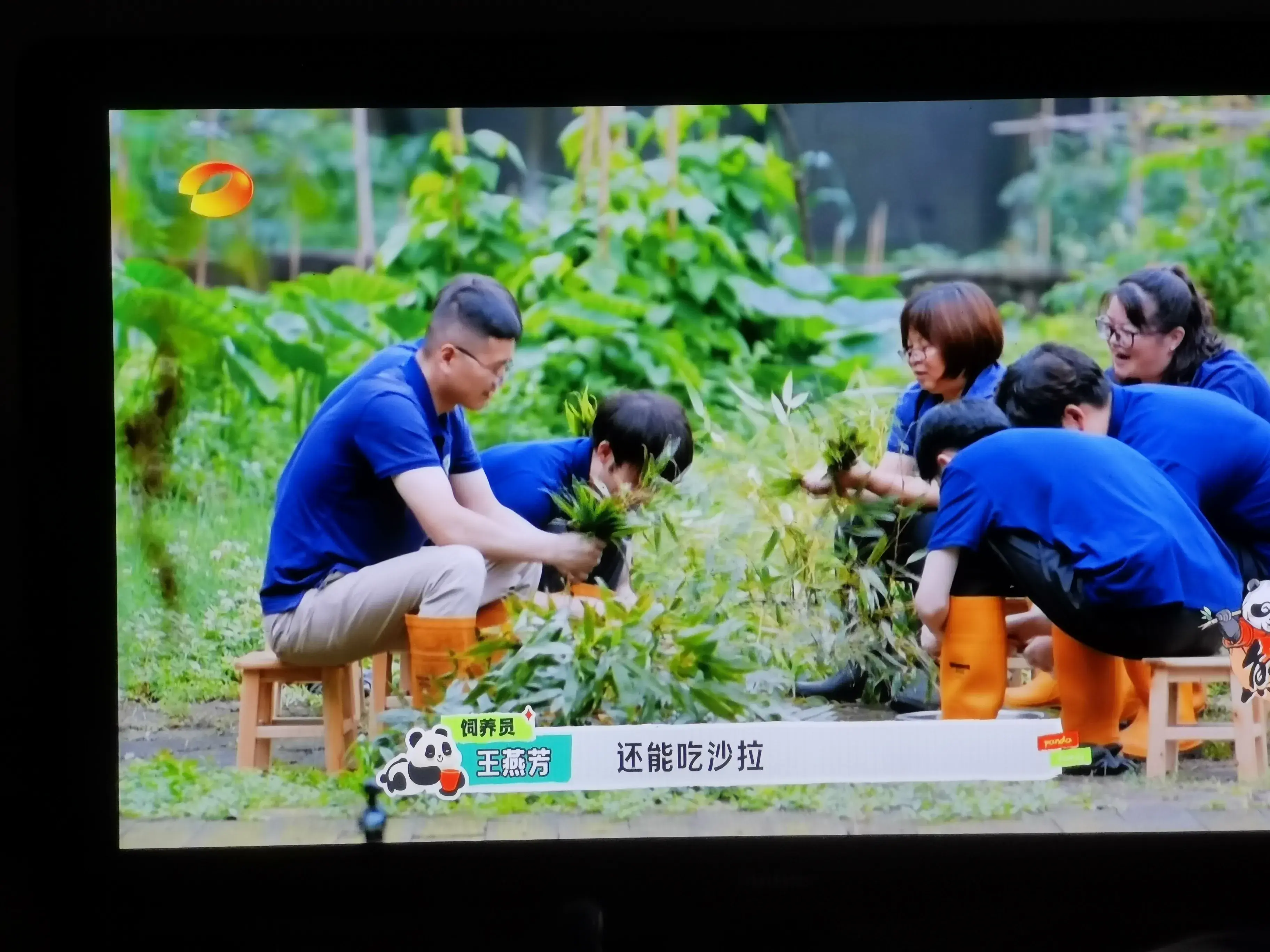 被爱着老去的国宝们-被爱着的人 真好啊