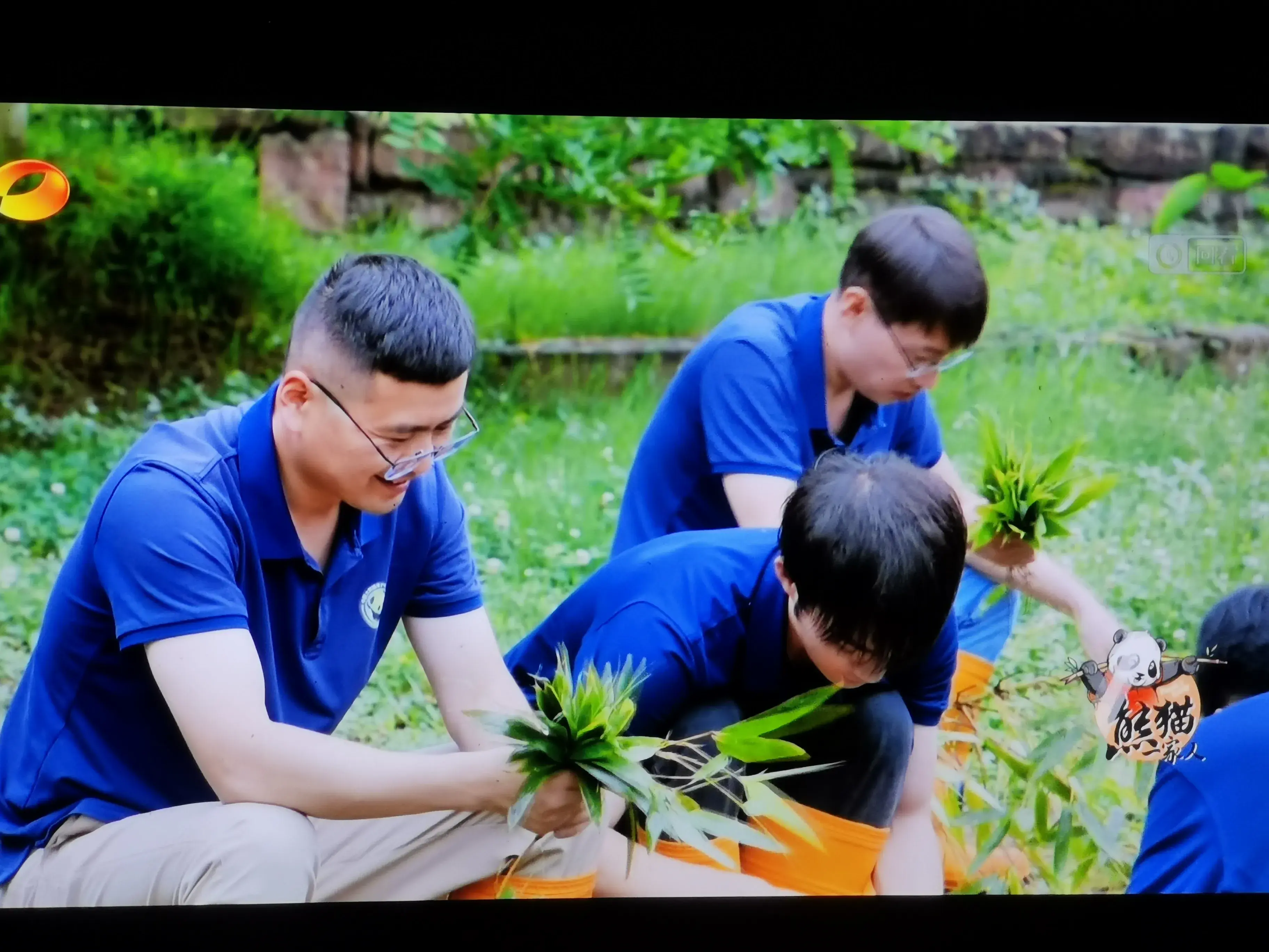 被爱着老去的国宝们-被爱着的人 真好啊