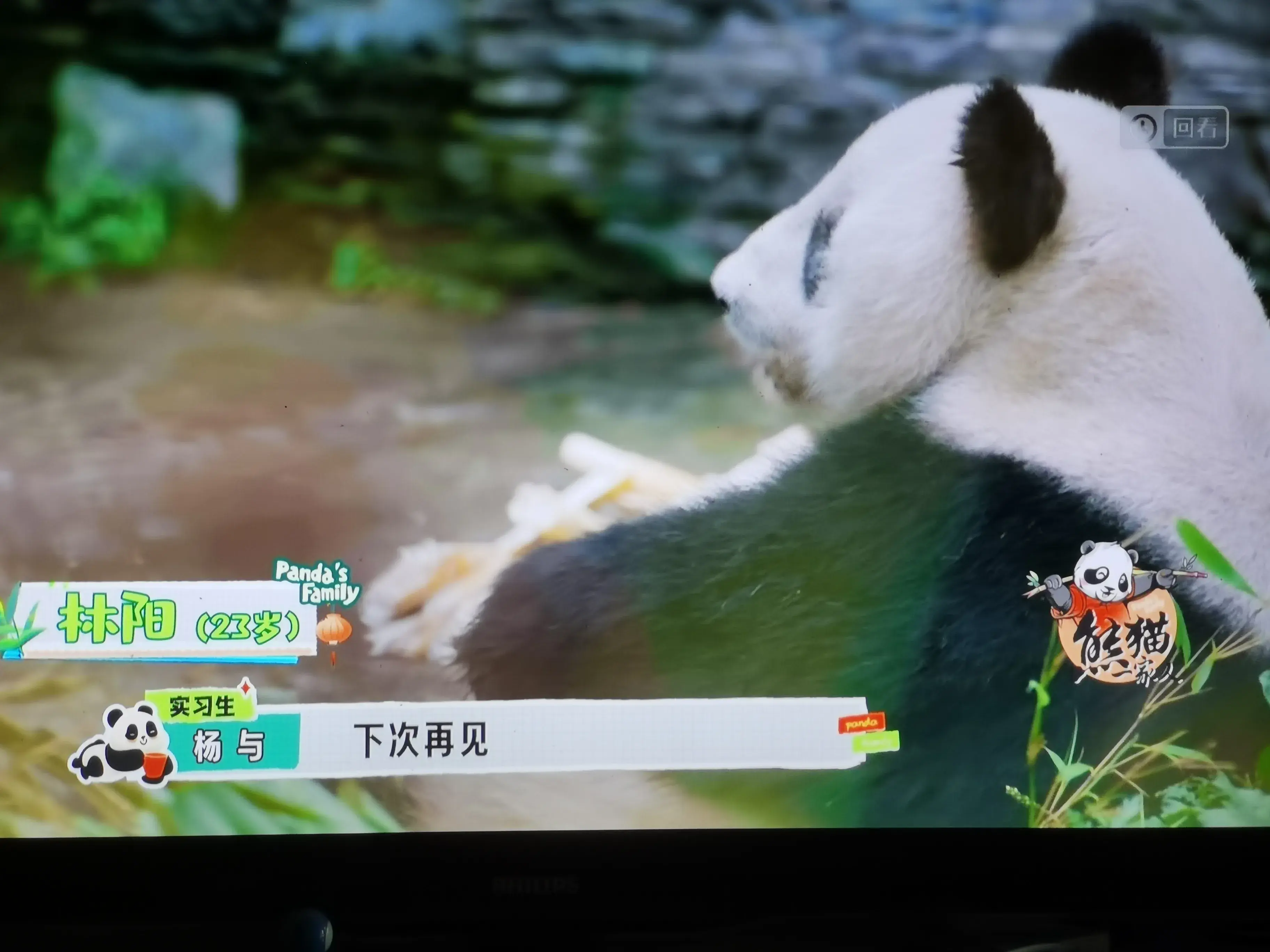 被爱着老去的国宝们-被爱着的人 真好啊