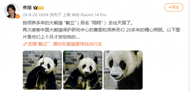 大熊猫“戴立”去世，费翔发文→-大熊猫戴丽老了