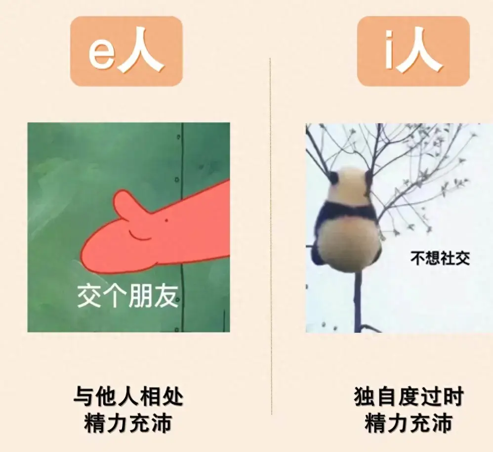 潘展乐回家乡，i人属性大爆发！i人和e人到底是什么意思？-潘展鸿律师事务所怎么样